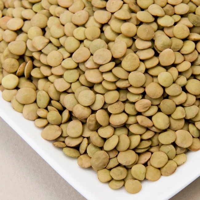 High quality new green lentils natural pure green lentils with competitive price product