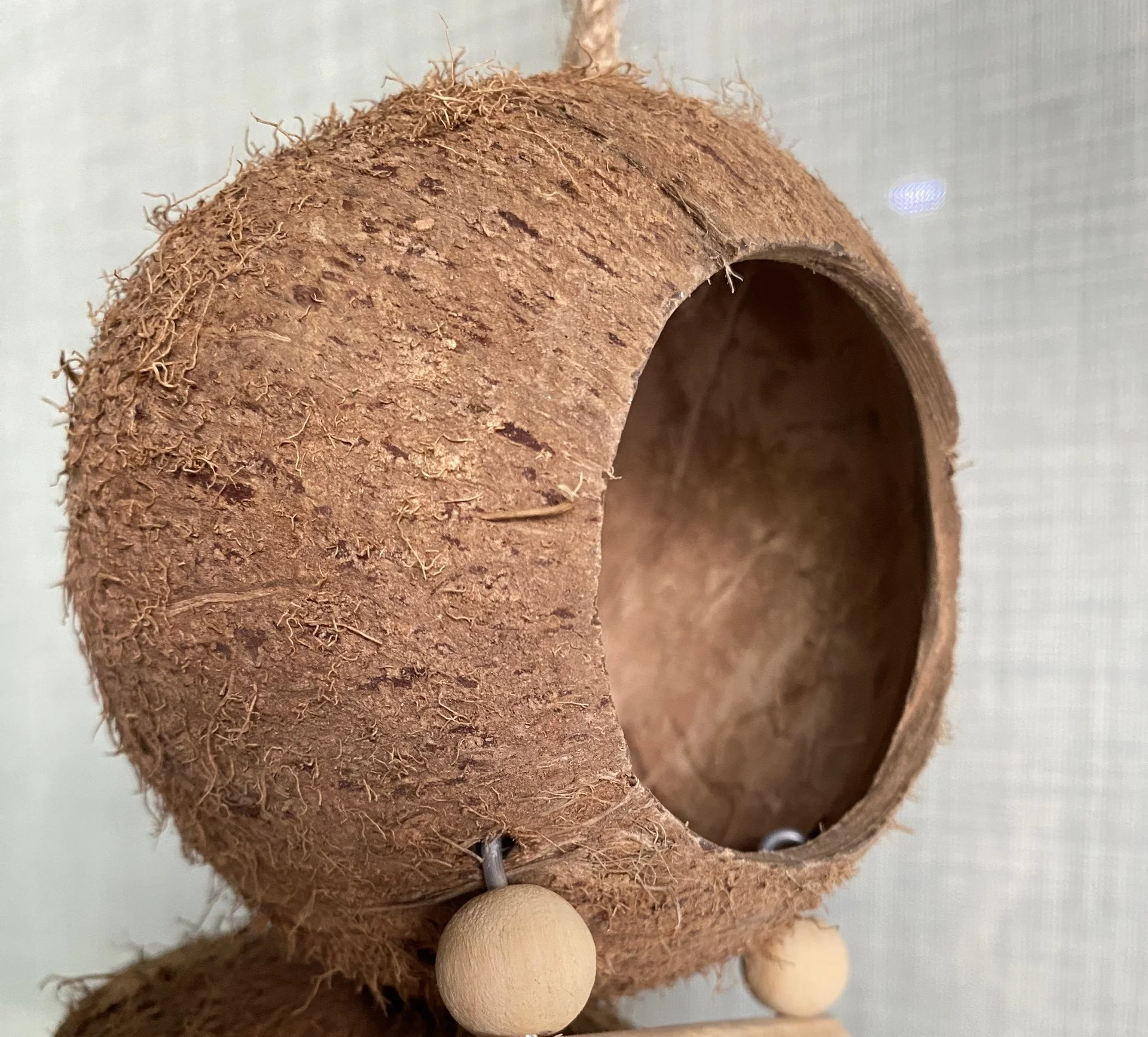 Natural Coconut Shell Bird Cage Bird Nest With Hanging Lanyard for Small Pet Parakeets Finches Sparrows Wholesales Price