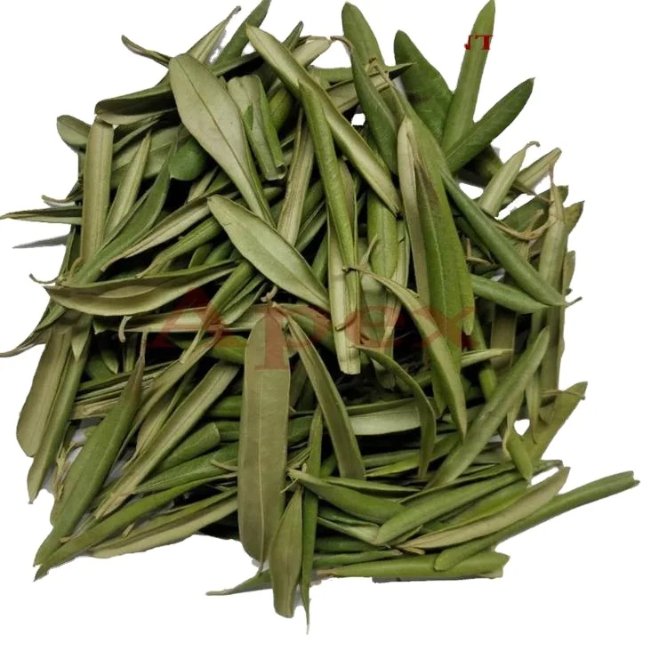 Olive Leaves olive leaves t-cut Dried leaves Apex India