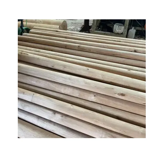 Special plywood Poplar/Eucalyptus Core Plywood tongue-groove re-veneered or overlaid with HPL
