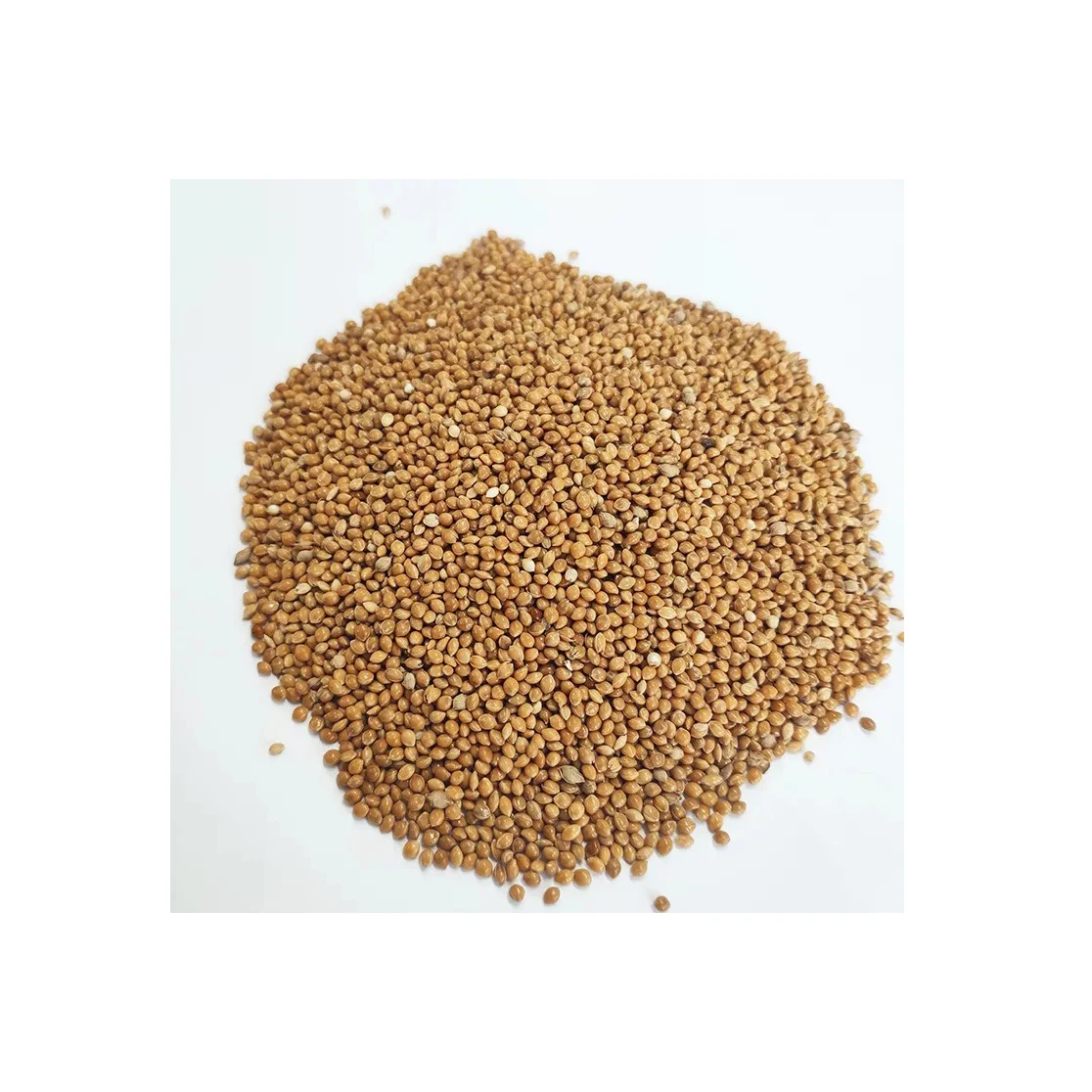 Red & Yellow Millets with Cheapest Price
