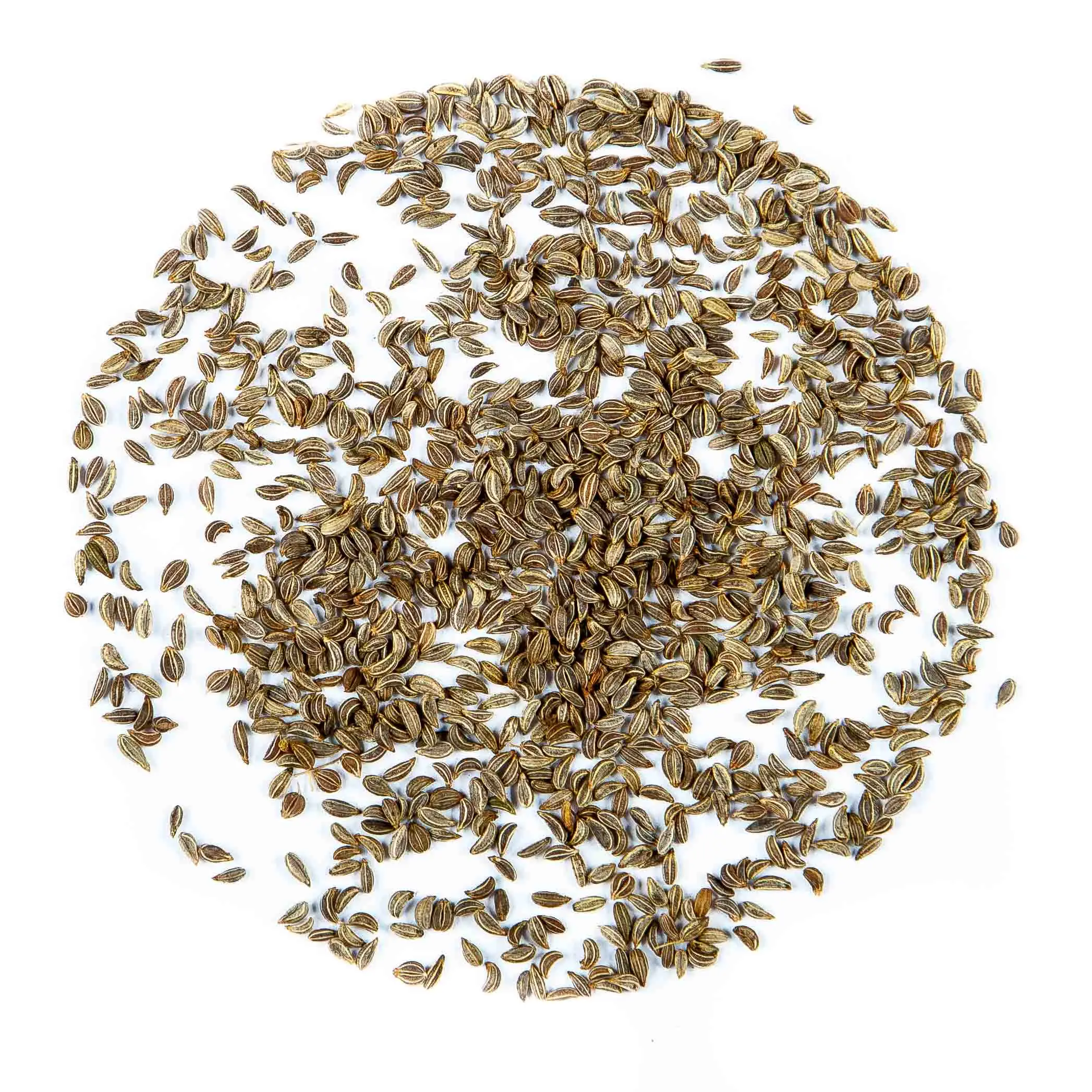 Parsley seeds