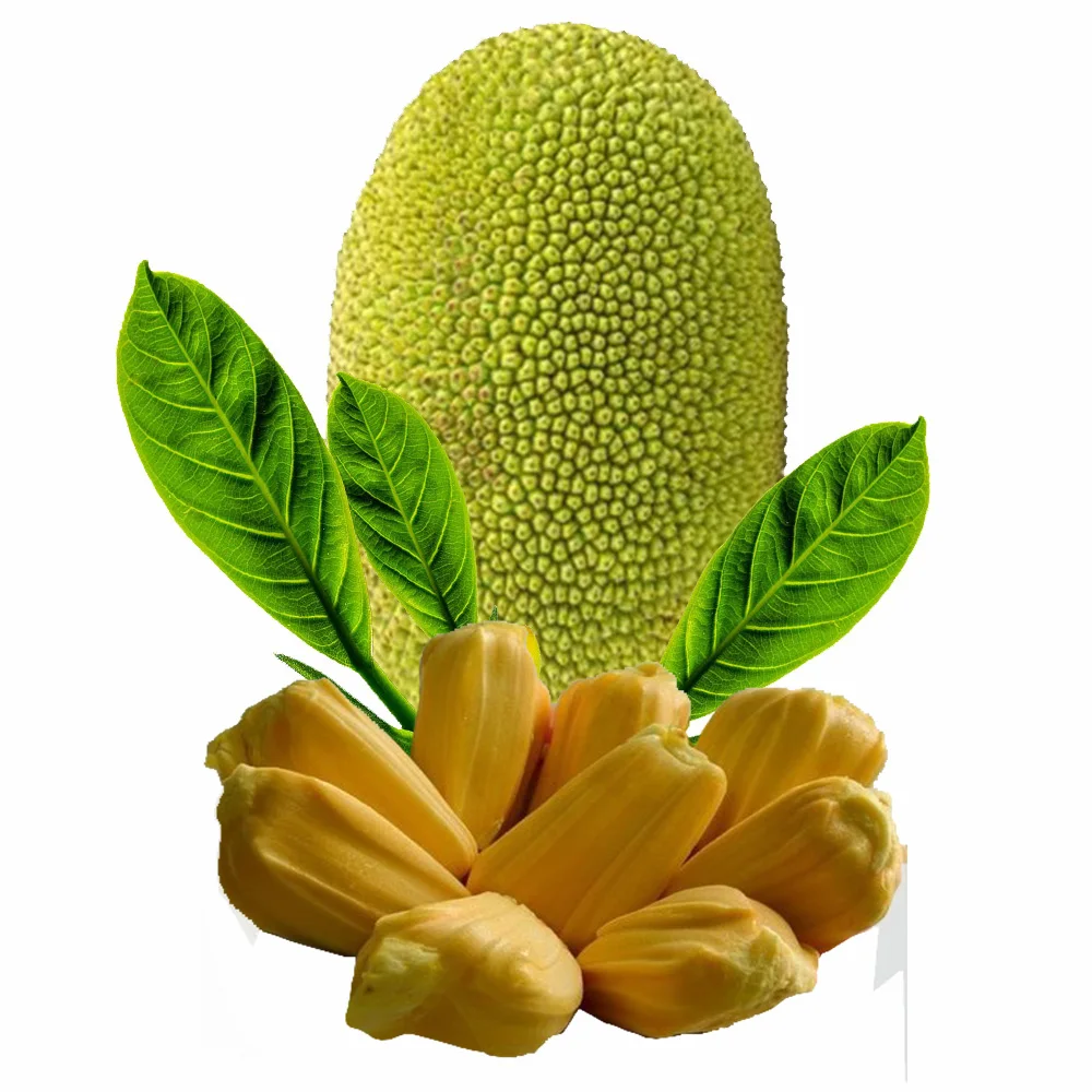 Good Quality Tropical Fruit Sweet Taste Fresh Jackfruit 100% Natural Yellow Color International Certificate