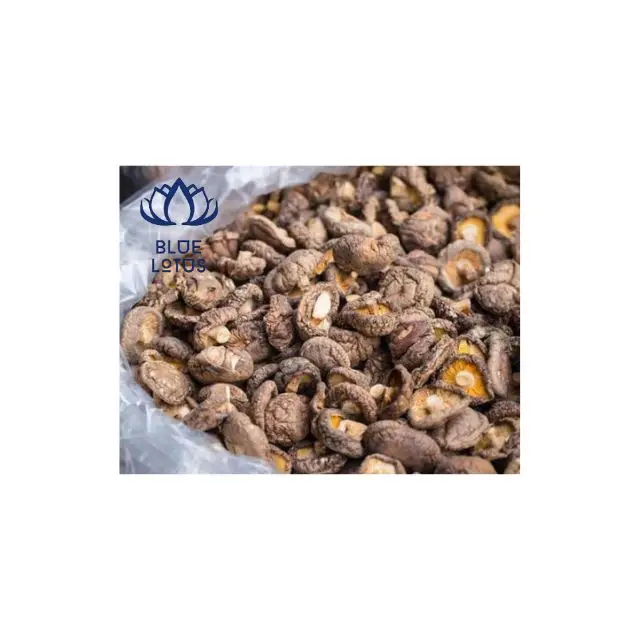 Сушеные грибы Shiitake хорошая оптовая продажа трава для приготовления пищи