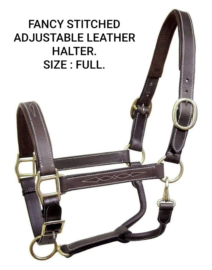 Colour Leather Horse Halter Premium Quality Handmade Fancy Braided Padded Black Australian Saddle with Double Crown Buckles