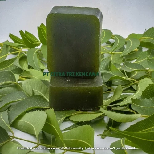 MEDICAL PRODUCTS SOAP PROTECT,PROTECT FAMILY FROM MONKEY POX VIRUS  BODY BATH ANTISEPTIC,BEAUTY SOAP Lisala Mongala CONGO AFRICA