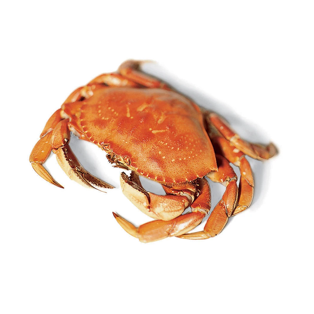 Hot Sale Fresh Red King Crab Fresh/frozen/live Red King Crabs,Soft Shell Crabs,Blue Swimming Crabs