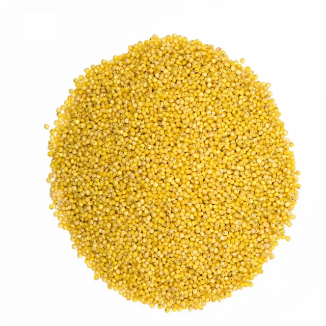 Best Selling Premium Wholesale Hulled Yellow Pearl Millet Bird Feed Seeds of Ukrainian Origin