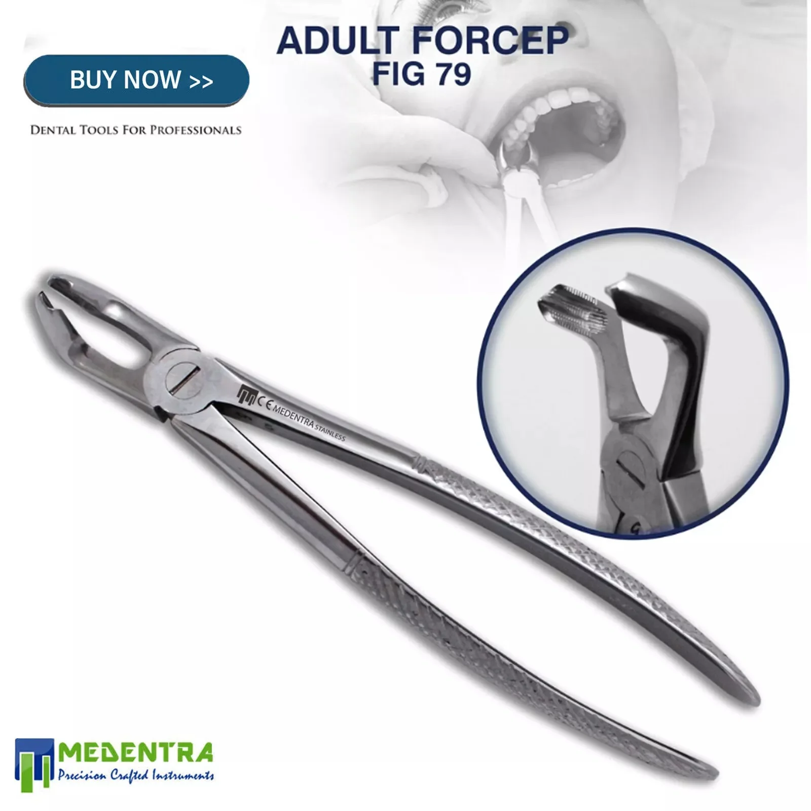 Affordable Dental Tooth Forceps Molar Forceps Tooth Root Extraction Pliers Stainless Steel Forceps Fig.79 & Fig.22 Set 2Pcs