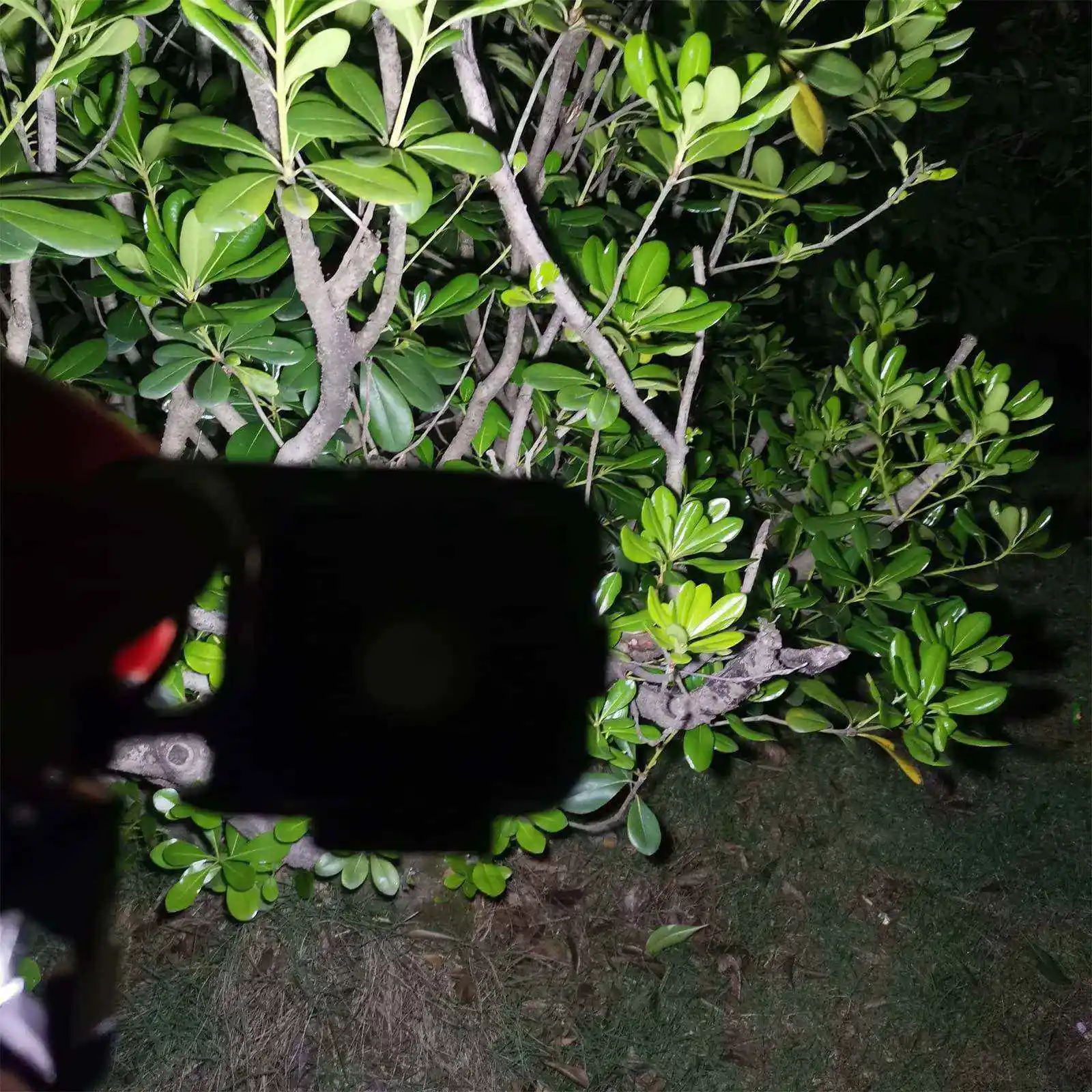 Outdoor USB magnetic COB EDC Strong Keychain light Small linterna Pocket Super Bright high power Rechargeable Mini Flashlight