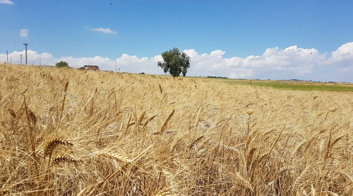 Итальянская паста высшего качества, 3 кг, Сухая паста, пенне, в мешке, Твердая пшеница, манная крупа, трубчатые макароны для HoReCa