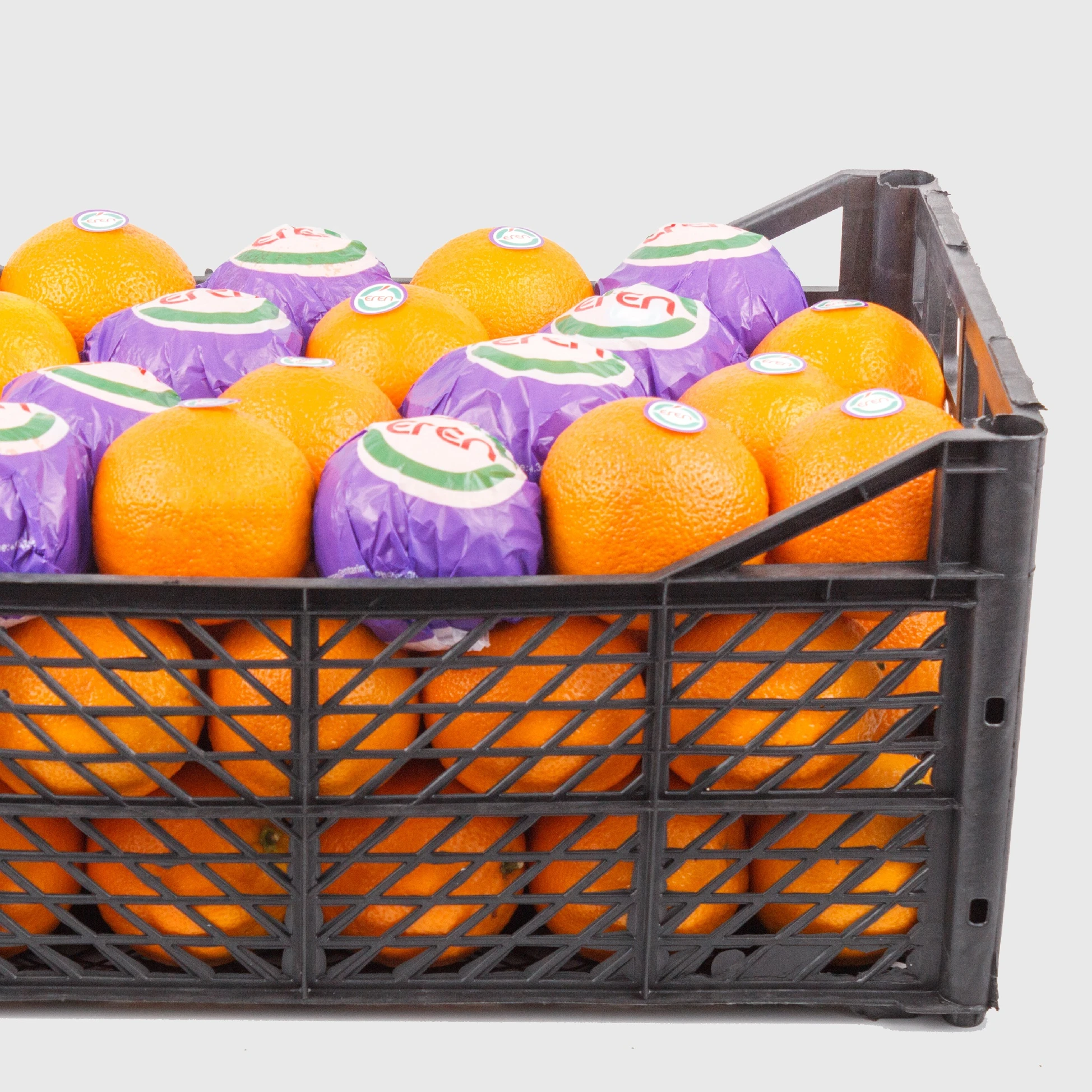 Wholesale Fresh Sweet Valencia Orange