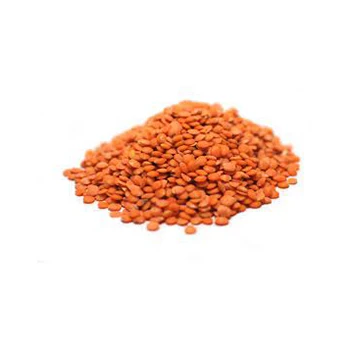 best quality Red Lentils for sale Wholesale High manufacturer new Best material With cheap rate