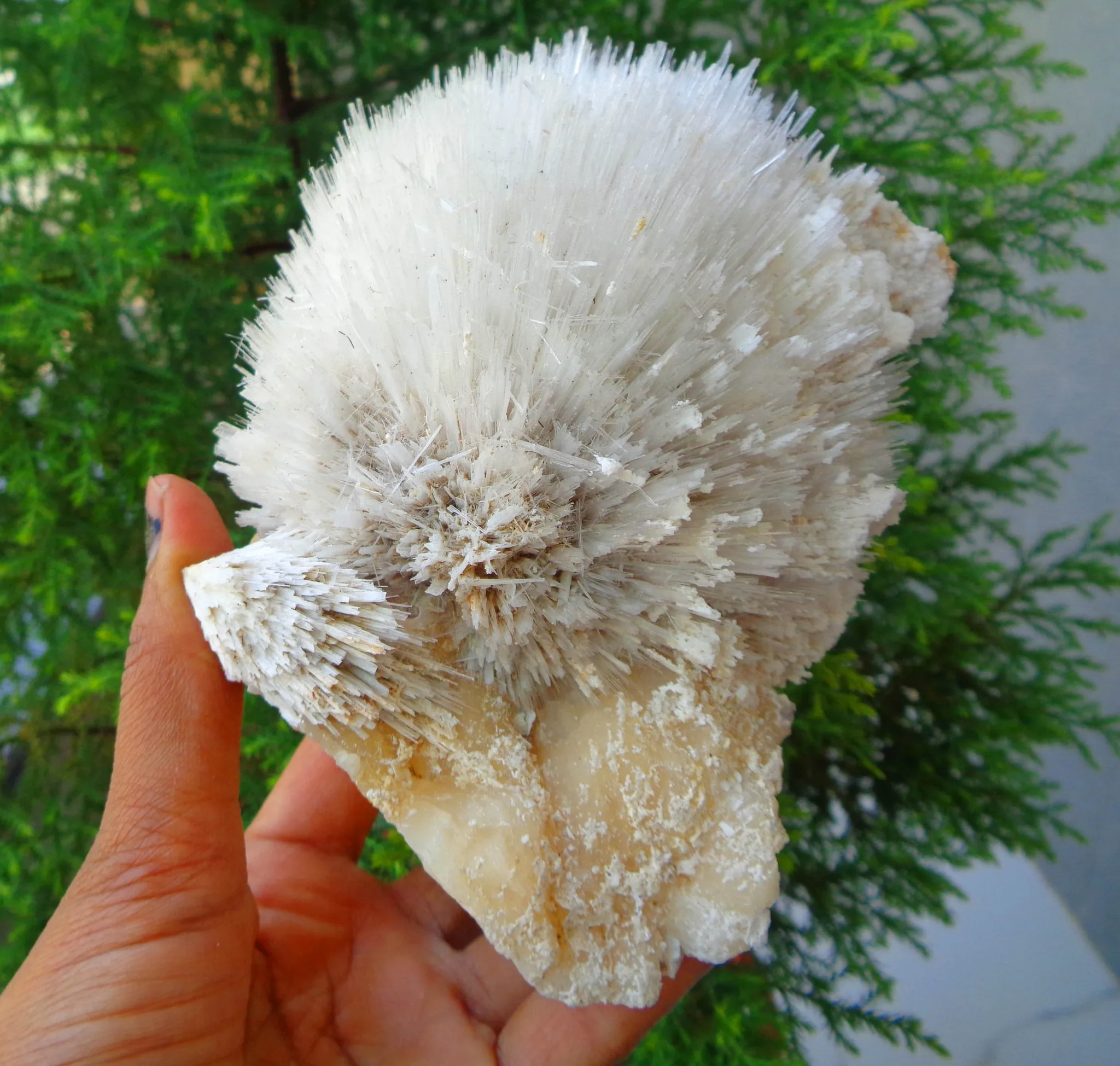 Incredible Mordenite Stilbite Raw Zeolite from India High Quality Crystals