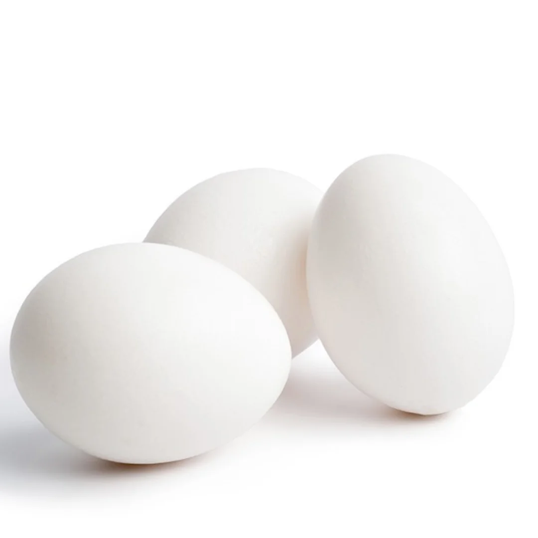 Лучшее качество свежие куриные яйца по оптовым ценам