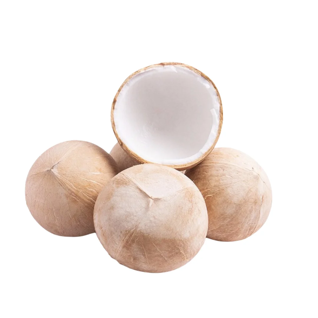 Wholesale Coconut Water Tropical High Quality Semi-Husked Siames Type Cheap Fresh Coconuts Vietnam Wholesale Whole Style