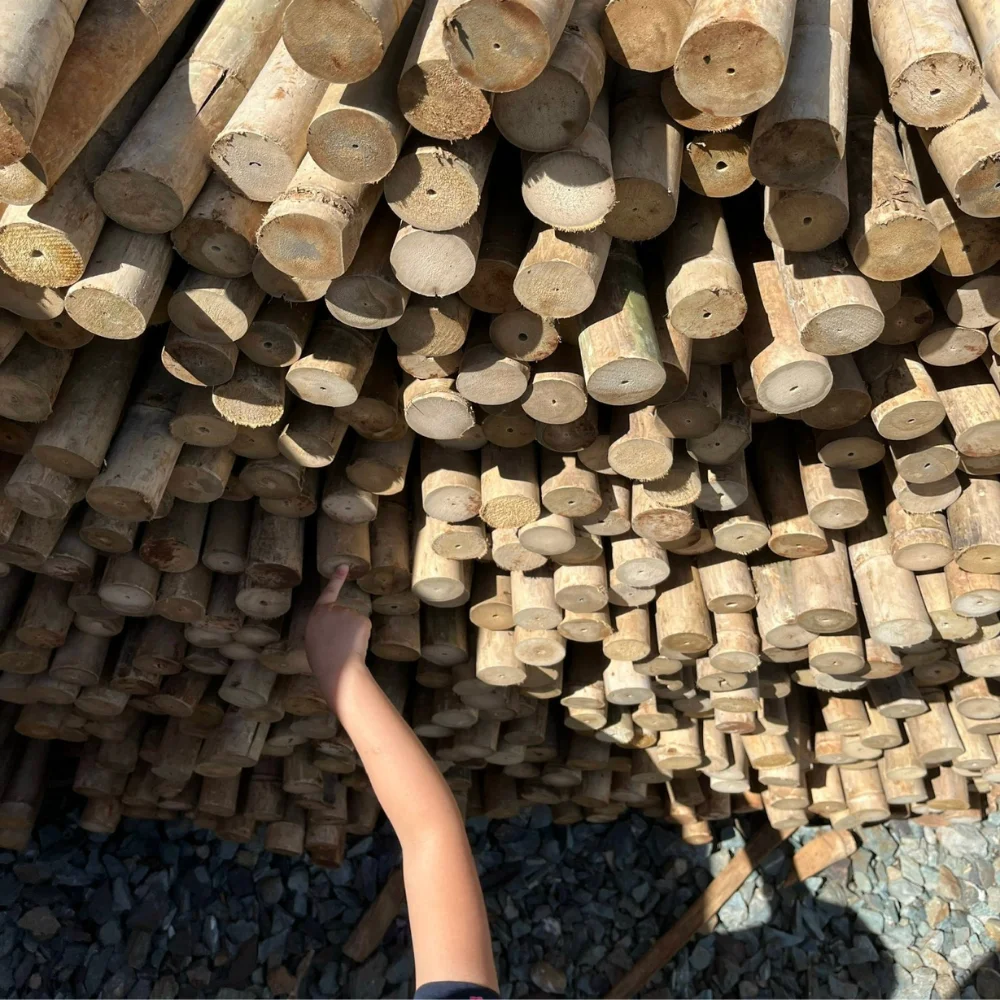Bamboo Poles Wholesale Wholesale Big Diameter For Decor And Construction Bamboo Cane Packed In Bundles with Good Supplier