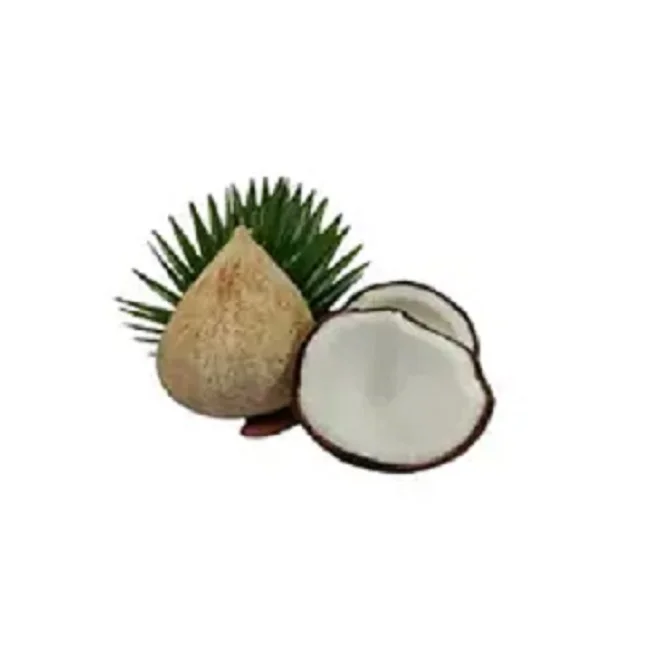 Wholesale Superfood Semi Husked Red And Green Color 100% Fresh Young Coconut Bulk Quantity Vietnam Prices