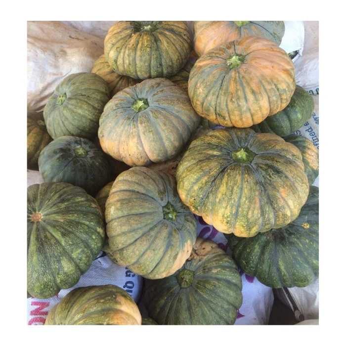 Свежие овощи в виде тыквы