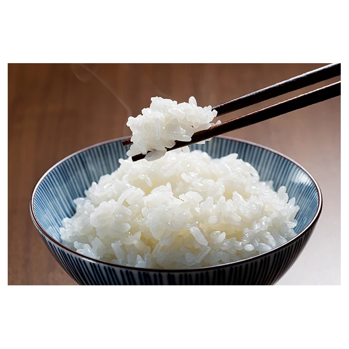 Japanese Wholesale Supplier Top Selling Easy Packed Cooked Rice