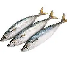 IQF frozen Horse Mackerel and Round Scad - Bulk 10 kgs/ carton - Original country Vietnam