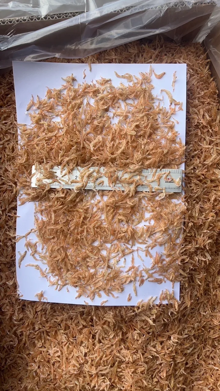 Fresh dried baby shrimp sourced from Vietnam perfect for snacks stir fries soups and traditional dishes worldwide