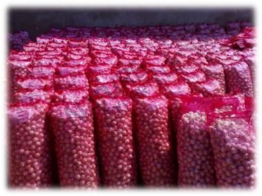 Экспорт свежего красного лука высшего качества (+ 84983028718)