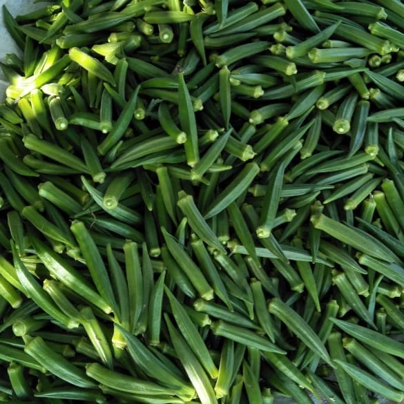 Superior quality fresh okra / ladies fingers