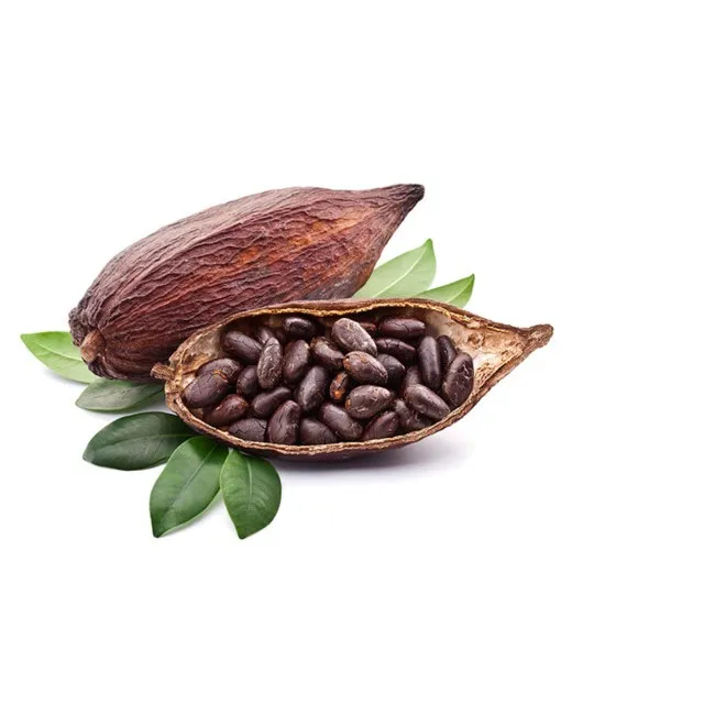 Quality Dried Cacao Beans / Cocoa- Beans From Cameroon Wholesale High Quality Dried Organic Roasted Flavored Cocoa Beans