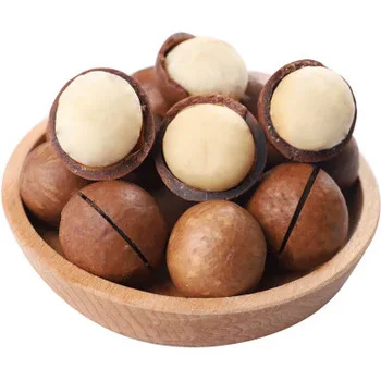 Macca Size 29-35 or Flagship Vietnamese Macadamia Factory Prices For Exporting Maca Nuts Dried
