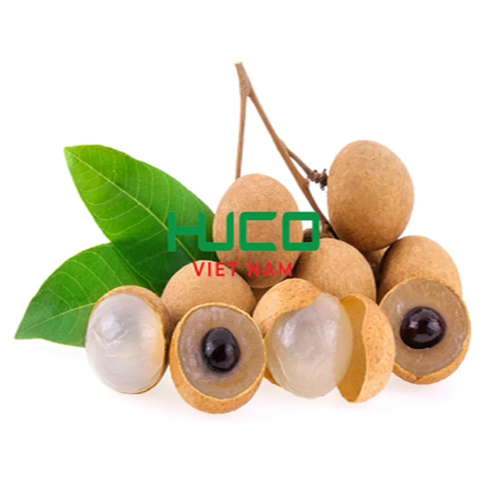 Fresh Longan Tropical Fruit Premium Quality from Vietnam Export Garde And Sweet Delicious