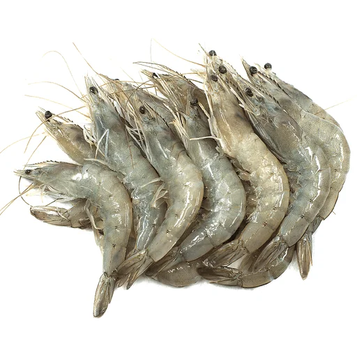 Frozen White Shrimp HLSO Species Code WTSH Block 1.0 kgs x 6 per carton top export new season shrimp