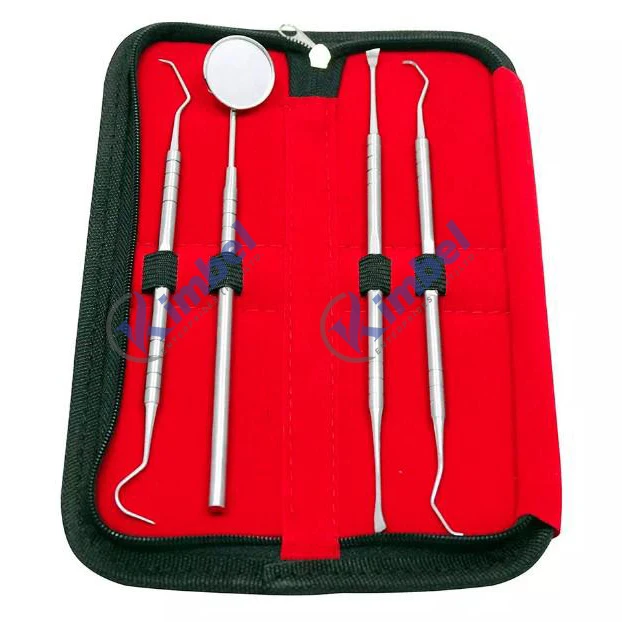 Dental Hygiene Kit Dental Scaler Scraper Hollow Handle Single Ended Scalar Light Weight Dental Equipment