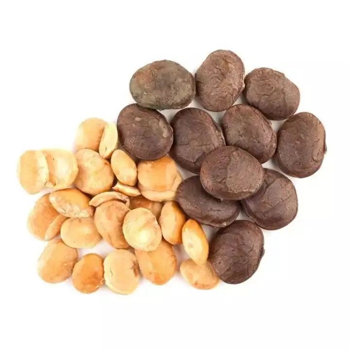 COMPETITIVE PRICE SACHI NUT/HOT SELLING DRIED SACHA SACHI INCHI NUT - Daisy +84 938451136