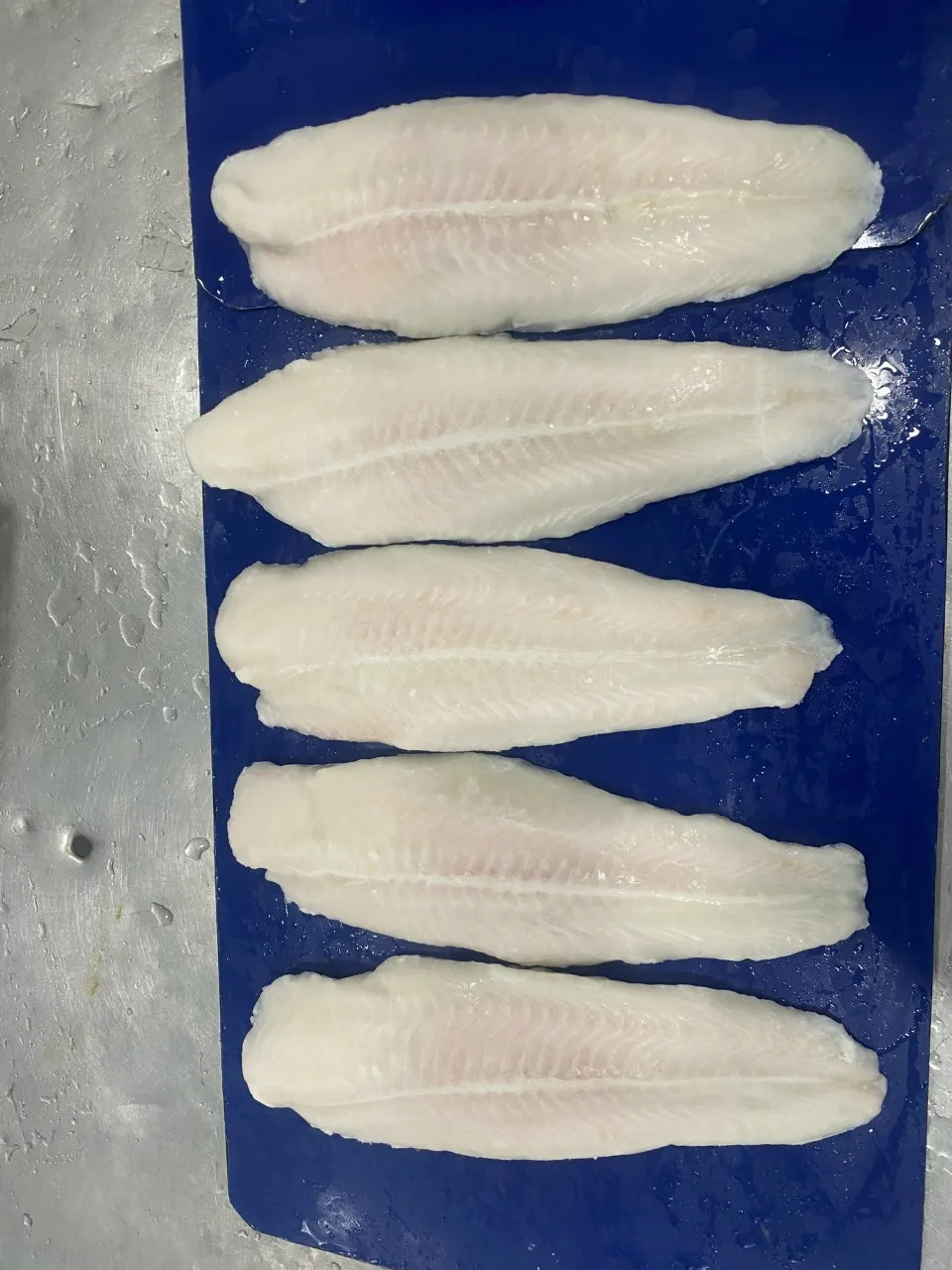 Top Quality Frozen Basa Fish/Pangasius Made From 100% Fresh Catfish in Vietnam Nutritious Seafood at the Best Price