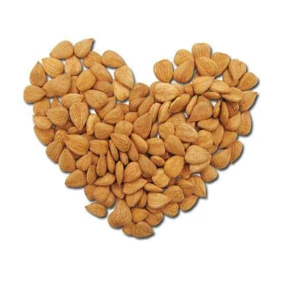 Sweet Taste Apricots Raw Soft Dried Natural Apricots Kernels available Soft Dried Vietnam Apricots Dried Fruit DRIED APRICOTS TU