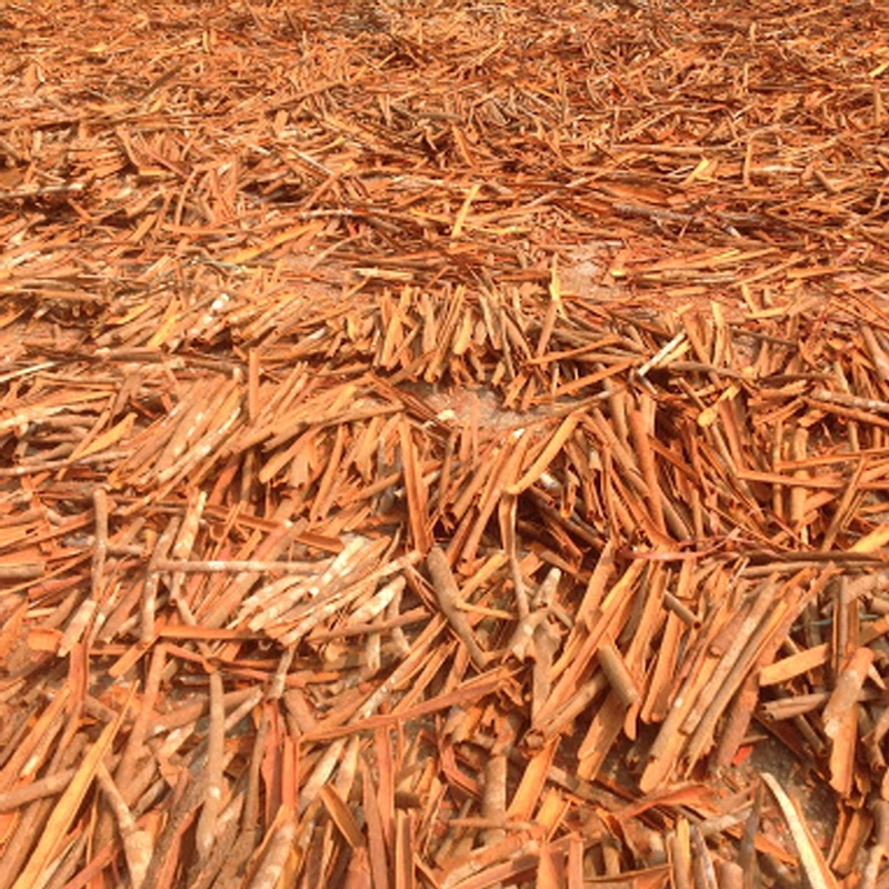 Best Selling Wholesale From Manufacturer Food Product Cinnamon Sticks  Ceylon Cinnamon Exporter