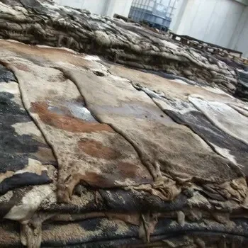 Поставщик сыпучих запасов сырого влажного соленого и сушеного коровьего шкуры/шкуры быстрая доставка из воловьей кожи шкуры буйвола