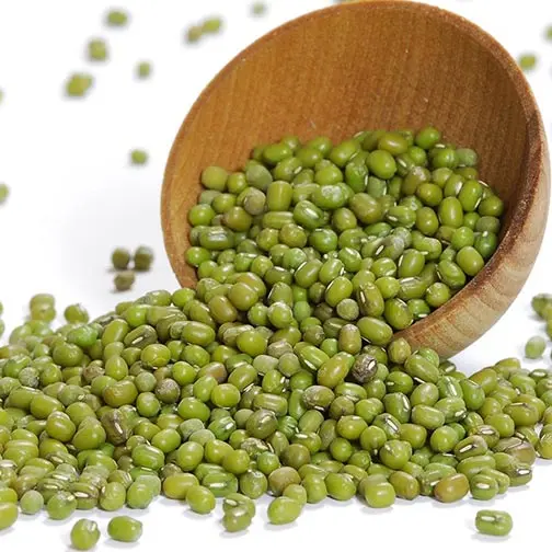 Green Mung Bean Grade  Green Mung Bean