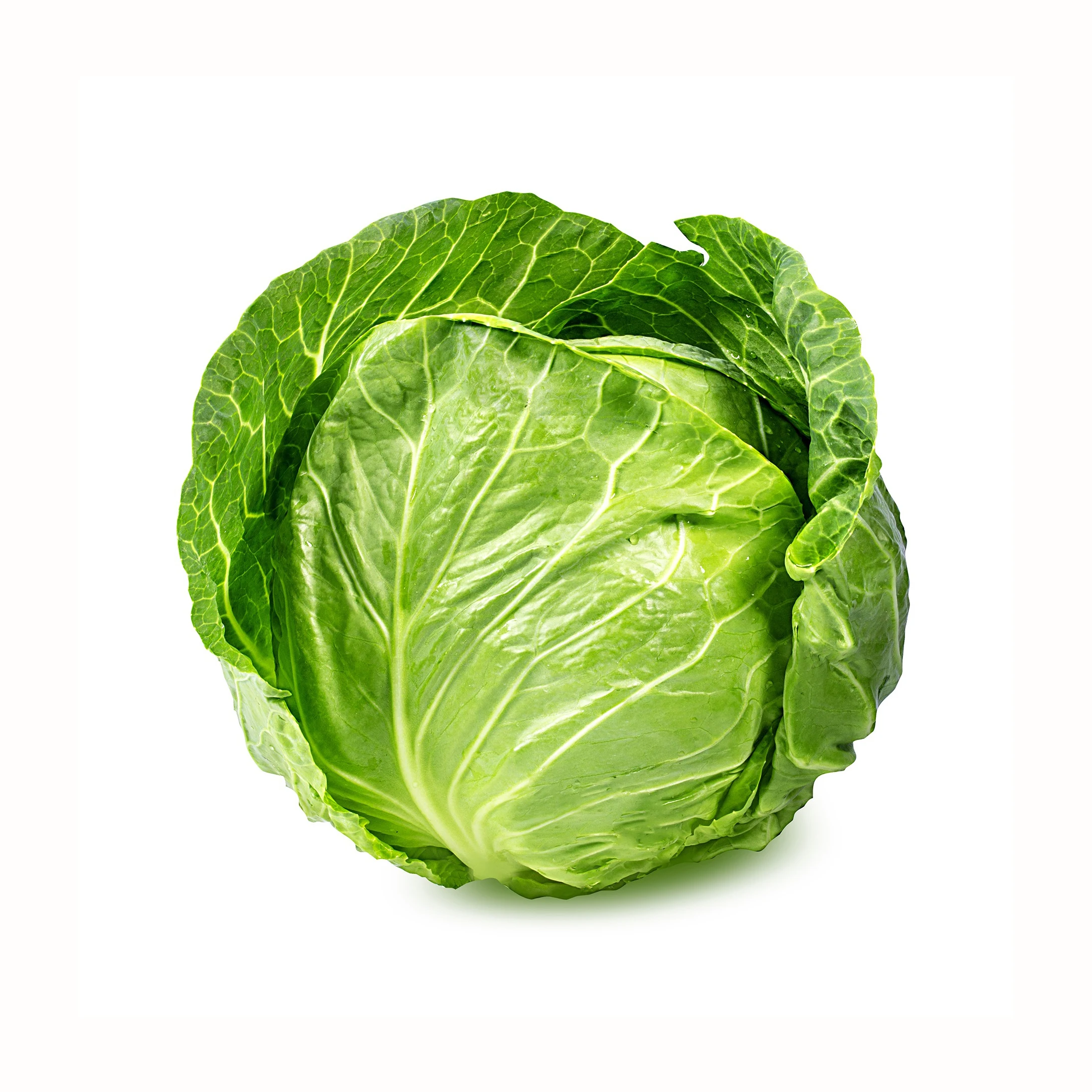 fresh cabbage fresh vegetables good quality cabbage wholesale with factory low price