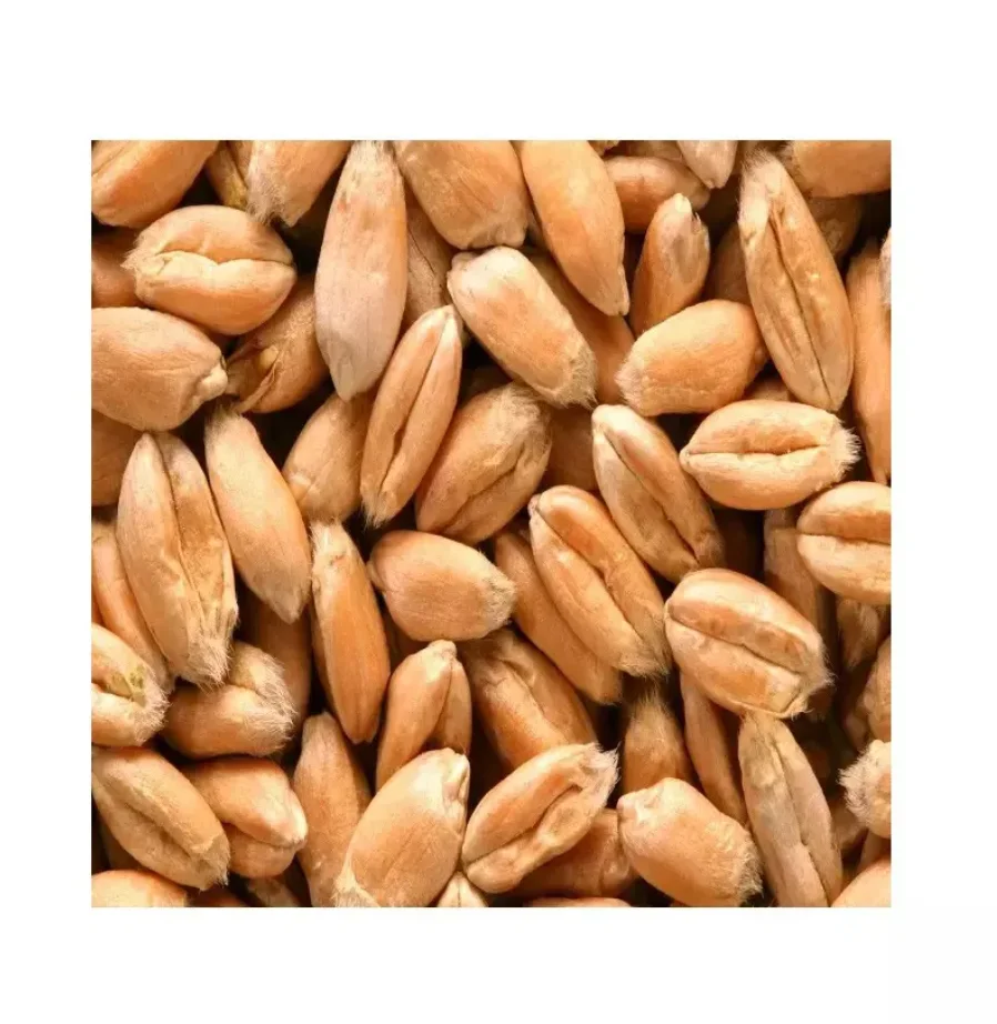 180000 (5).png