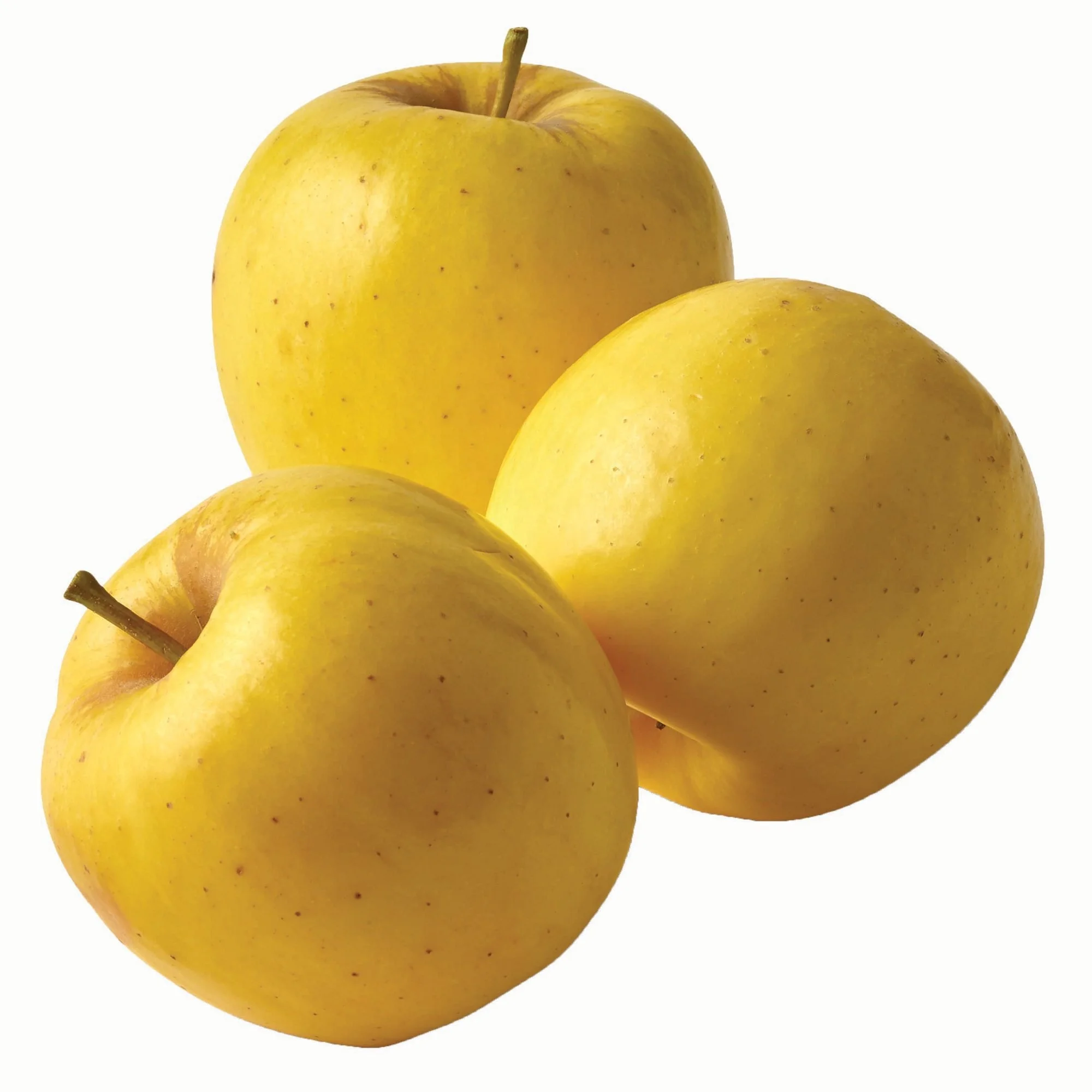 Wholesale Fresh Red Fuji Apple