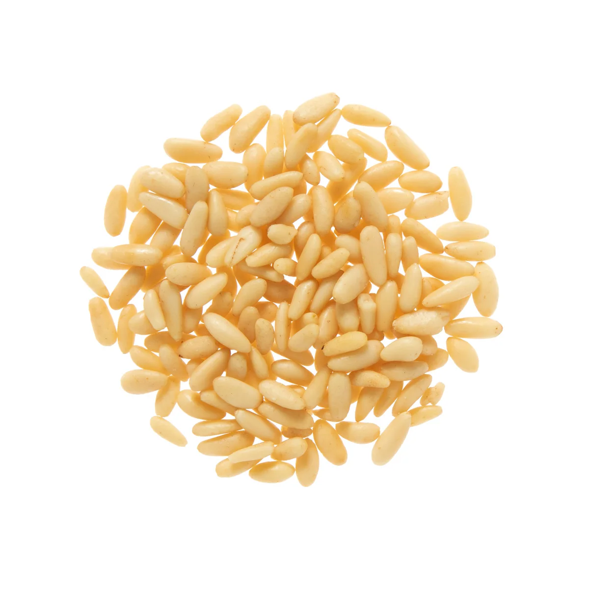 High Grade Pine Nuts Seed Brazil Pine Nuts in Shell Pine Nuts For Wholesale