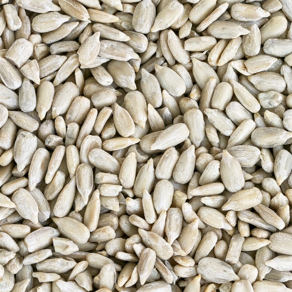 Sunflower Seed High Quality Kernel Raw Export New Crop Sunflower Seed Available in Bulk for Human Consumption
