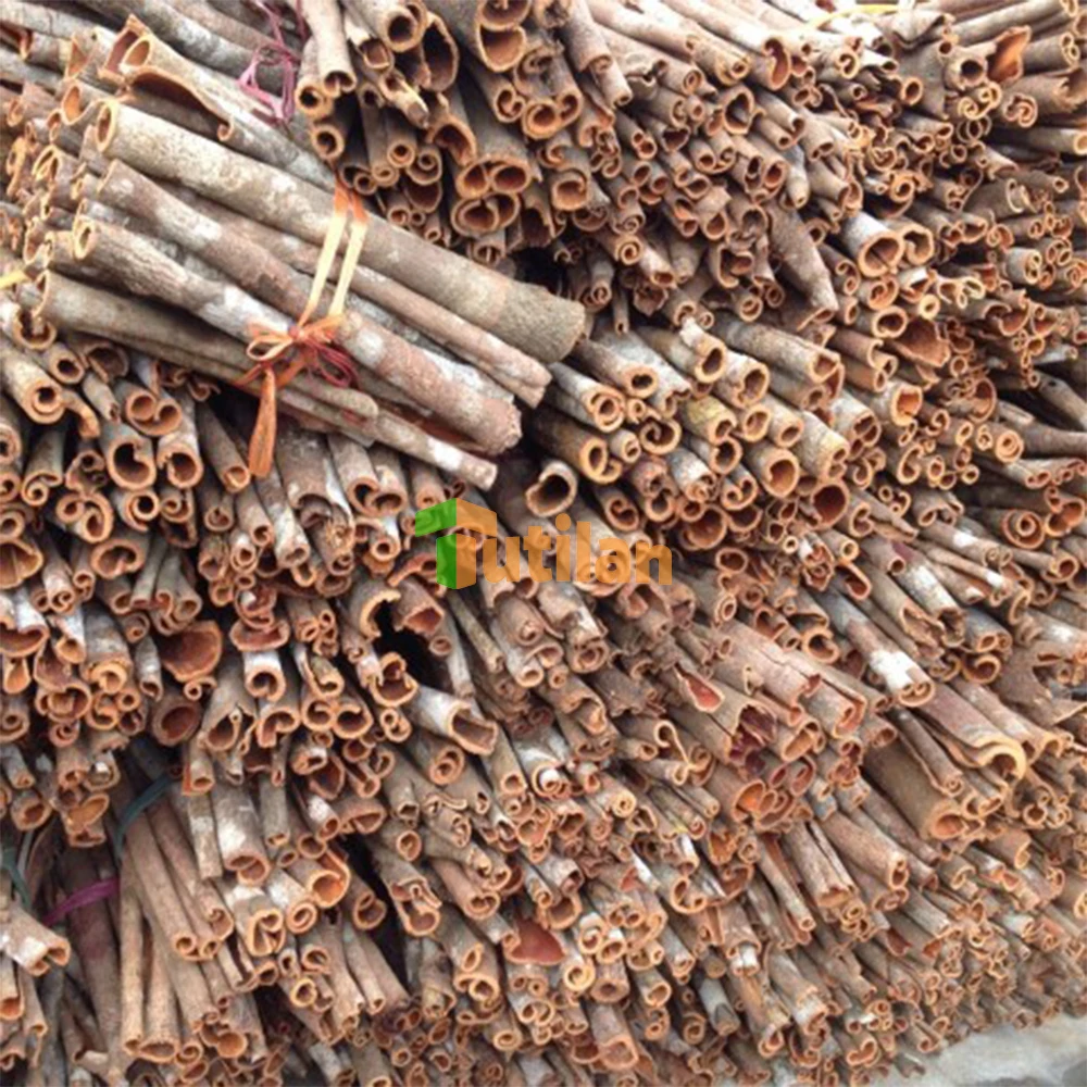 Planting Quality Assurance Dried Cinnamon Factory Wholesale Price Cassia Cinnamon Stick