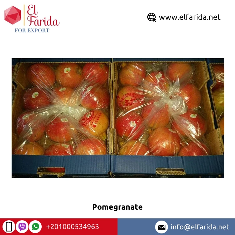 Superior Quality Bulk Sale 100% Natural Sweet Delicious Red Fresh Fruit Pomegranate at Wholesale Market Price