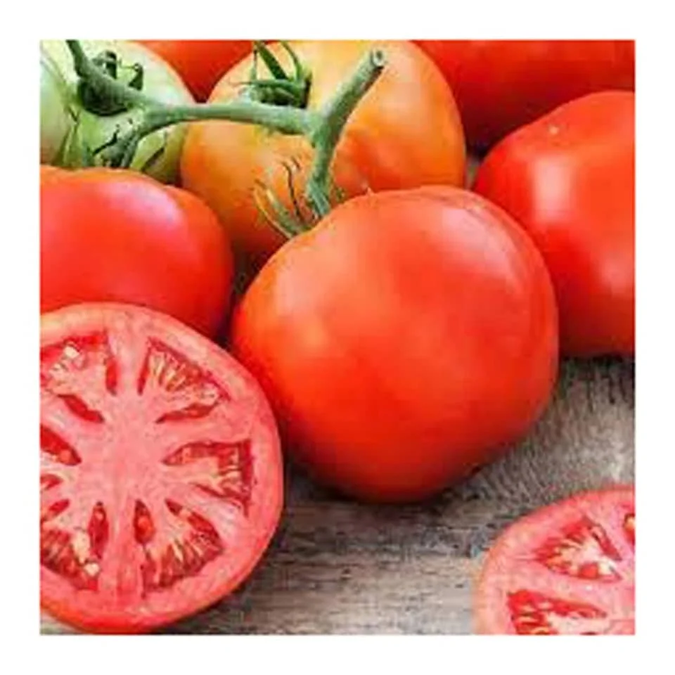 FOR SALES FRESH RED TOMATOES BEST PRICE