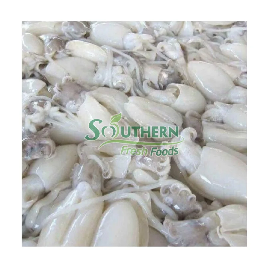 SFF bulk style Wild Caught Nature packaging feature products quality best cuttlefish Frozen Baby Cuttlefish from Vietnam