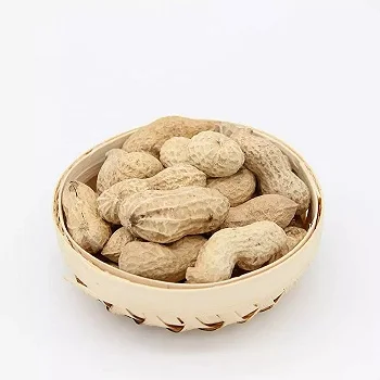 bulk raw peanuts in shell available for sale