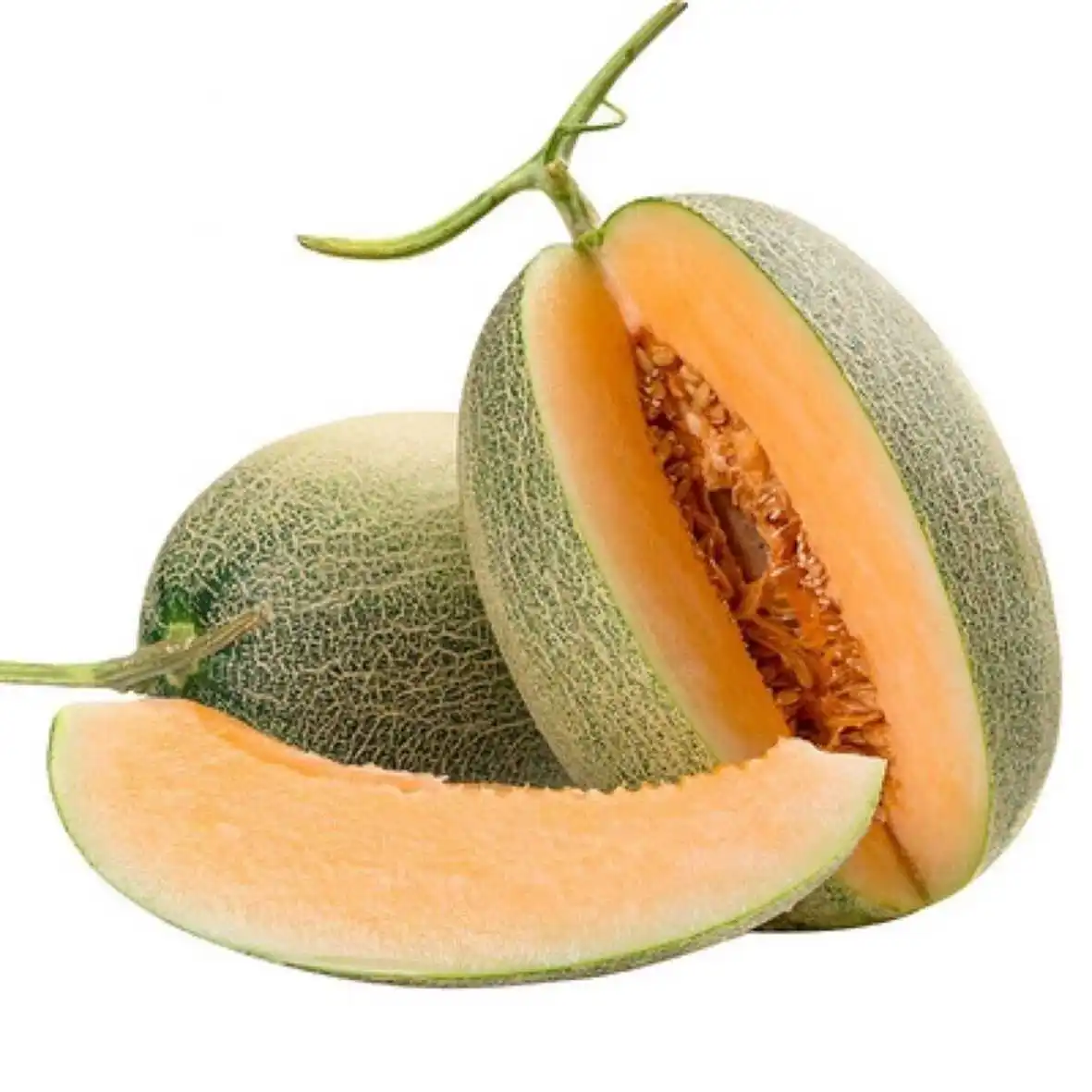 Factory Price Good quality Fresh Melon Orange flesh from Vietnam top Exporter Fresh Vegetables Reasonable Price Ready to Export